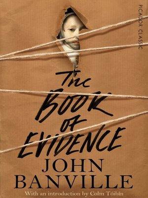 cover image of The Book of Evidence